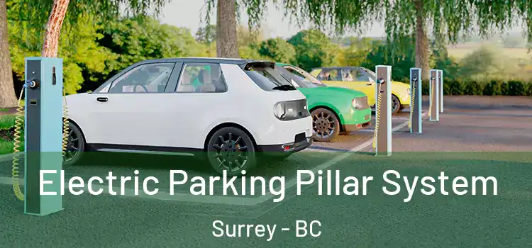 Electric Parking Pillar System Surrey - BC