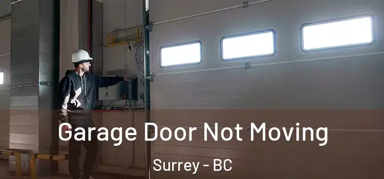  Garage Door Not Moving Surrey - BC