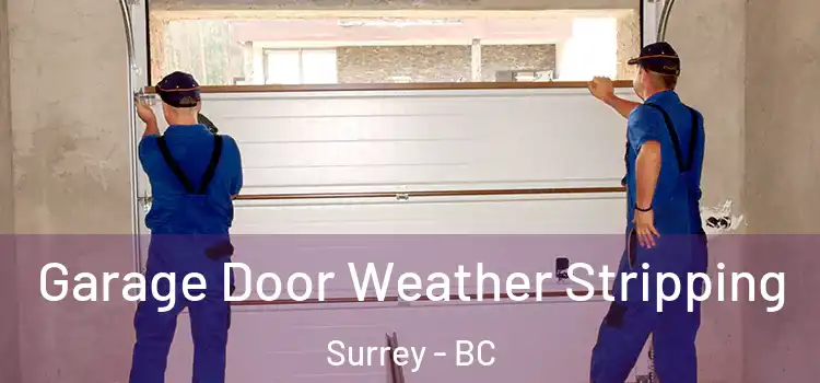  Garage Door Weather Stripping Surrey - BC