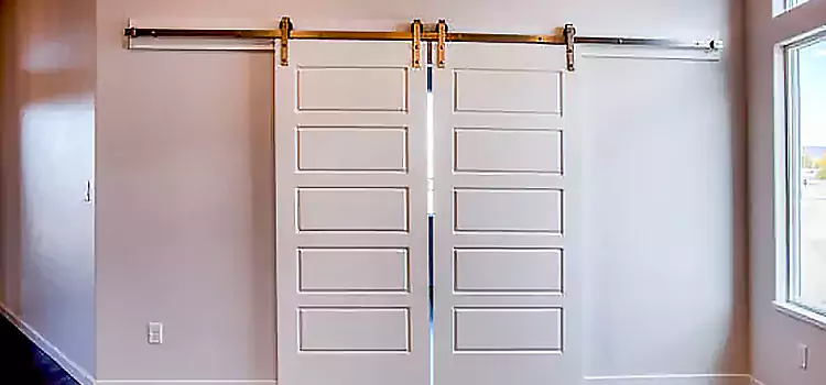 Glass Barn Door with Installation Hardware Kit Surrey
