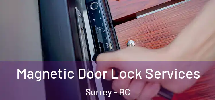 Magnetic Door Lock Services Surrey - BC