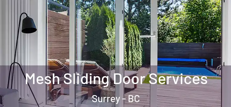 Mesh Sliding Door Services Surrey - BC